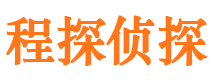 兰西市调查公司